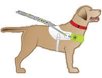 Yellow Lab Superhero Sticker by Canadian Guide Dogs For The Blind