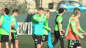 werder werderbremen GIF