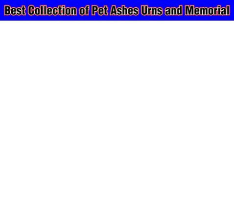 pet ashes urns GIF