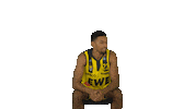 Ewe Baskets Basketball Sticker by EWE Baskets Oldenburg