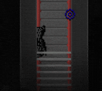 Dl GIF