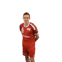 swisshandball_official no handball stop schweiz Sticker