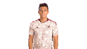 World Cup Mexico Sticker by MiSelecciónMX