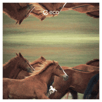 To The Moon Crypto GIF by Eco