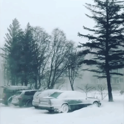 Reykjavik is Hit With Blizzard