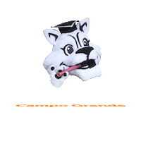 Festas Vivaeventos Sticker by Ticomia Formaturas