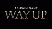 Way Up Turkey GIF by Ashwin Gane