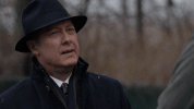 the blacklist GIF by NBC