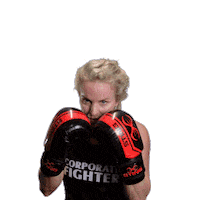 Boxing Newcastle Sticker by Redback Solutions