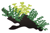 Plant Decor Sticker by AQUAEL