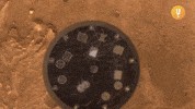 Landing Space X GIF by CuriosityStream