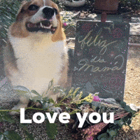 Love You Dog GIF