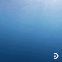 Mako GIF by Shark Week