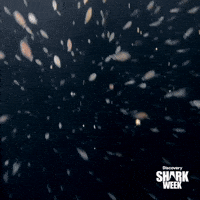 Monster Biting GIF by Shark Week