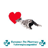 Border Co Sticker by Europeanpetpharmacy