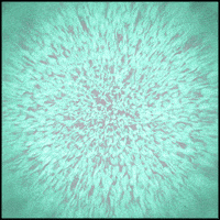 gif artist perfect loop GIF by Erica Anderson