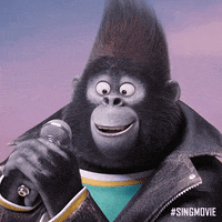 Happy The Secret Life Of Pets GIF by Sing Movie