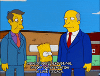 bart simpson episode 20 GIF