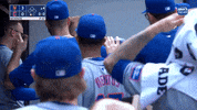 Celebrate Major League Baseball GIF by MLB