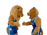 New York Basketball Sticker by Hofstra University