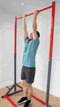 ThisIsCalisthenics calisthenics tic pull ups back workout GIF