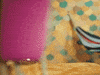 everwhatproductions funny hello lol phone GIF