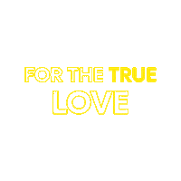 forthetrue video photo camera photographer Sticker