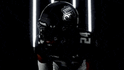 Old Dominion Sport GIF by ODU Football