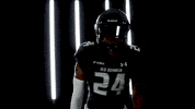 Old Dominion Sport GIF by ODU Football