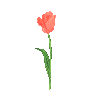 forencos 원더랜드 포렌코즈 Sticker