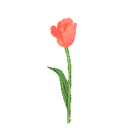 forencos 원더랜드 포렌코즈 Sticker