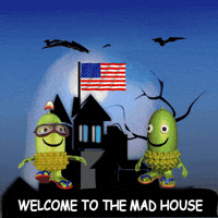 Stars And Stripes GIF