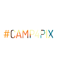 camp4collective camp4 camp4collective camp4pix Sticker