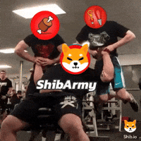 Shiba GIF by SHIB MEMES