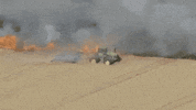 wildlife tractor GIF