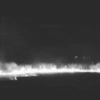 GIF by Alina Sánchez