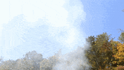Bonfire Brush Fire GIF by JC Property Professionals