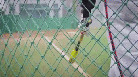 nuskin giphygifmaker baseball softball nuskin GIF