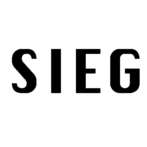 BCLuzern giphyupload win sieg badminton Sticker