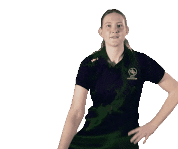 Dragons Kat Sticker by walesnetball