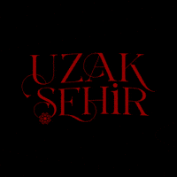 Dizi GIF by Kanal D