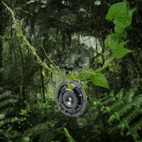 HELLA Horns - Enjoy your urban jungle.