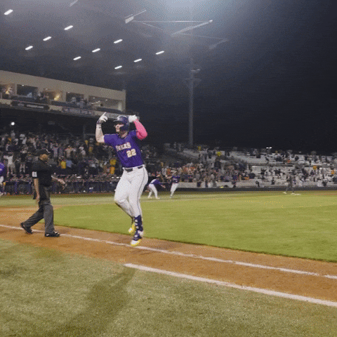College Sports Baseball GIF by LSU Tigers