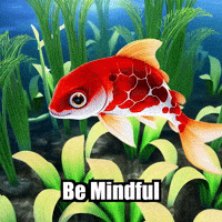 Wisdom Mindfulness GIF by TheConfishius