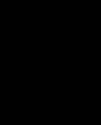 Tfo GIF by thefamilyofficeteam