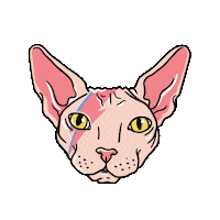vanessanoerenbergarts cat luck bowie poppy Sticker