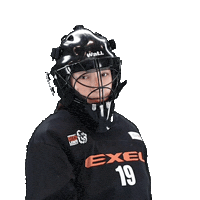 Goalkeeper Floorball Sticker by Red Lions Frauenfeld
