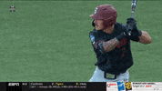 gostanford  GIF