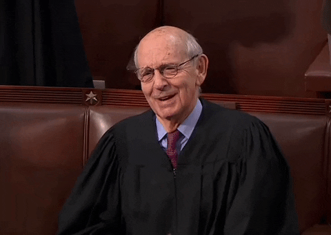 Stop It Stephen Breyer GIF by GIPHY News