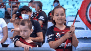 Western Sydney Wanderers Flags GIF by wswanderersfc